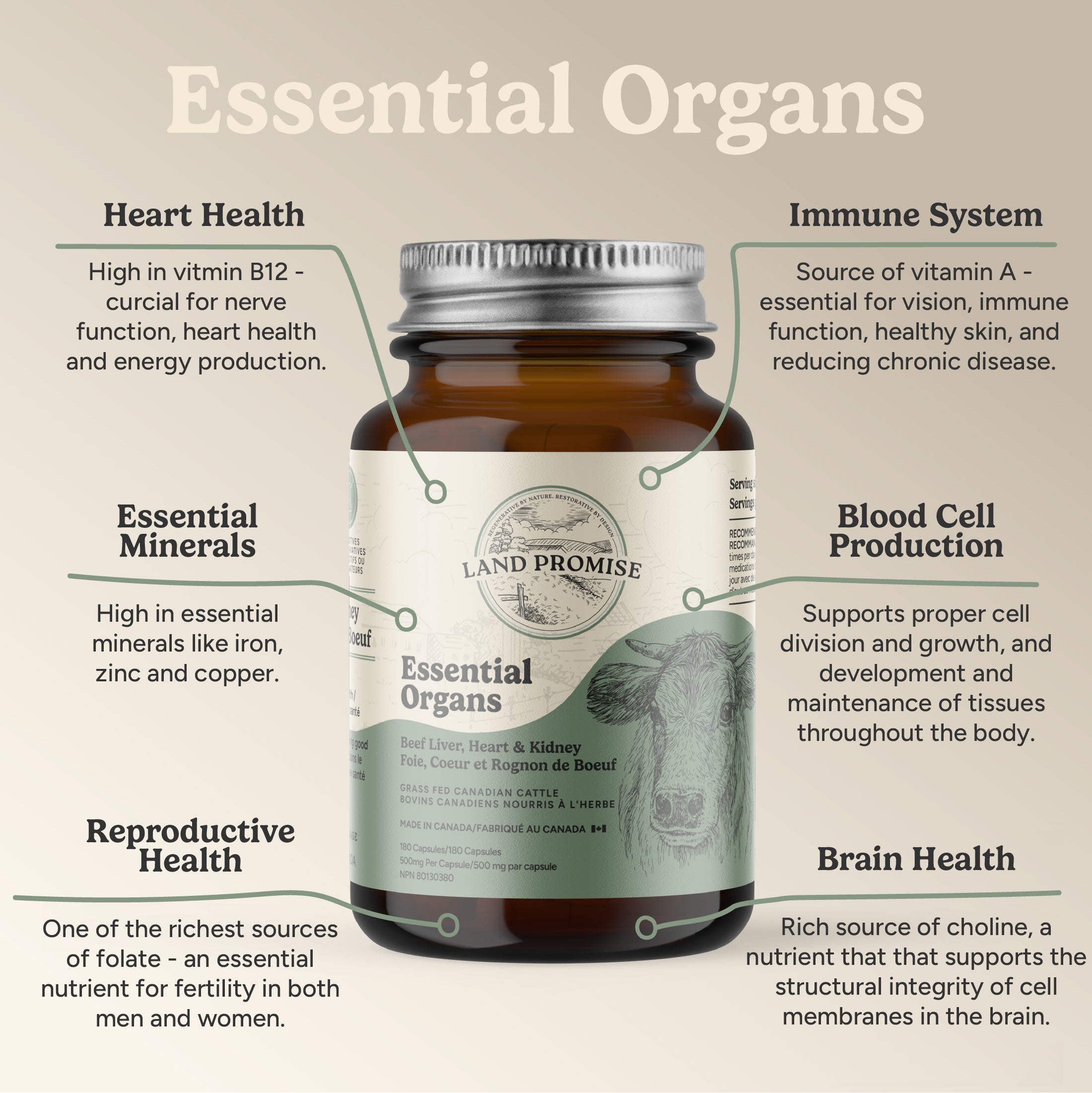 Essential Organs