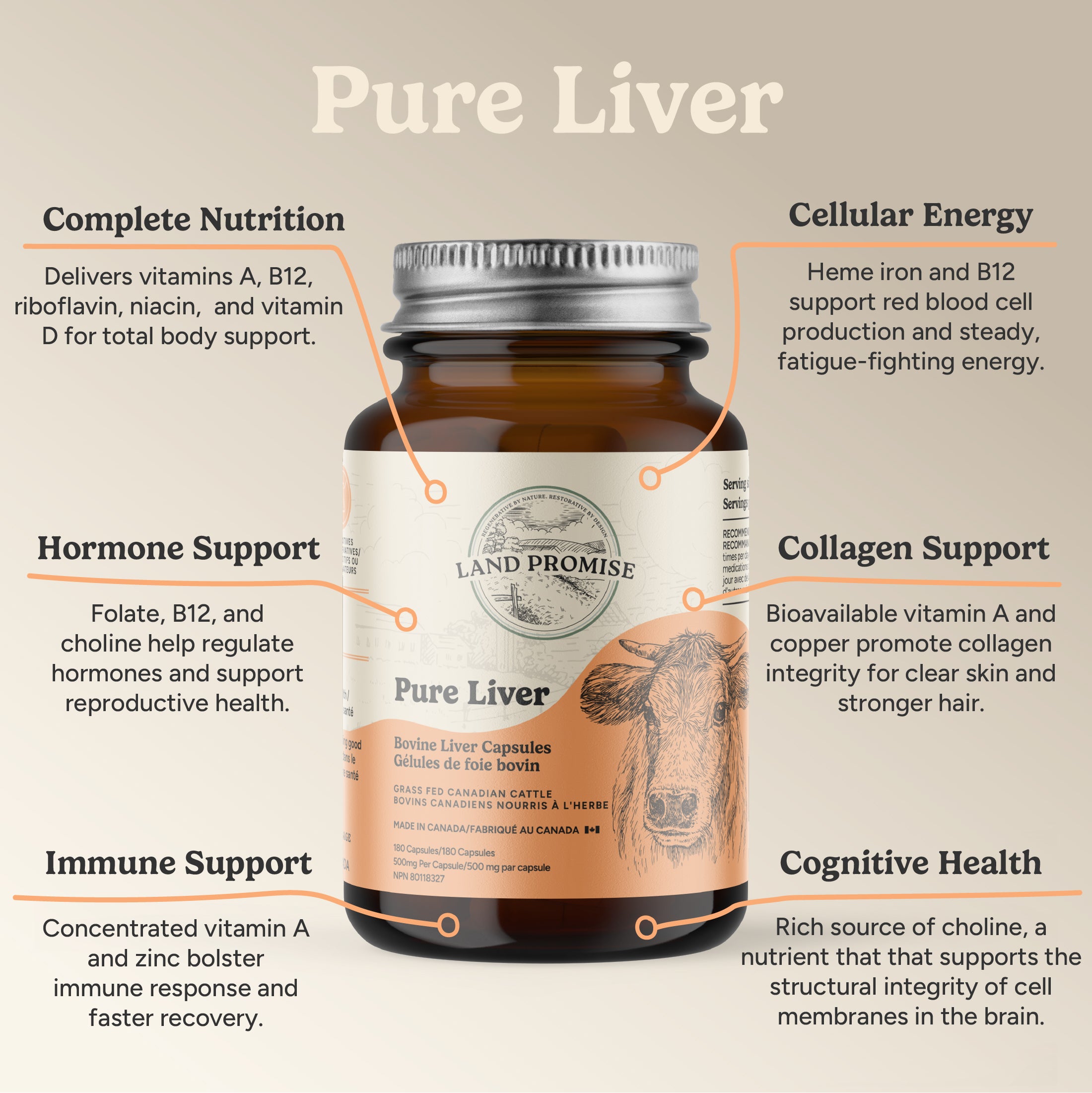 Pure Liver