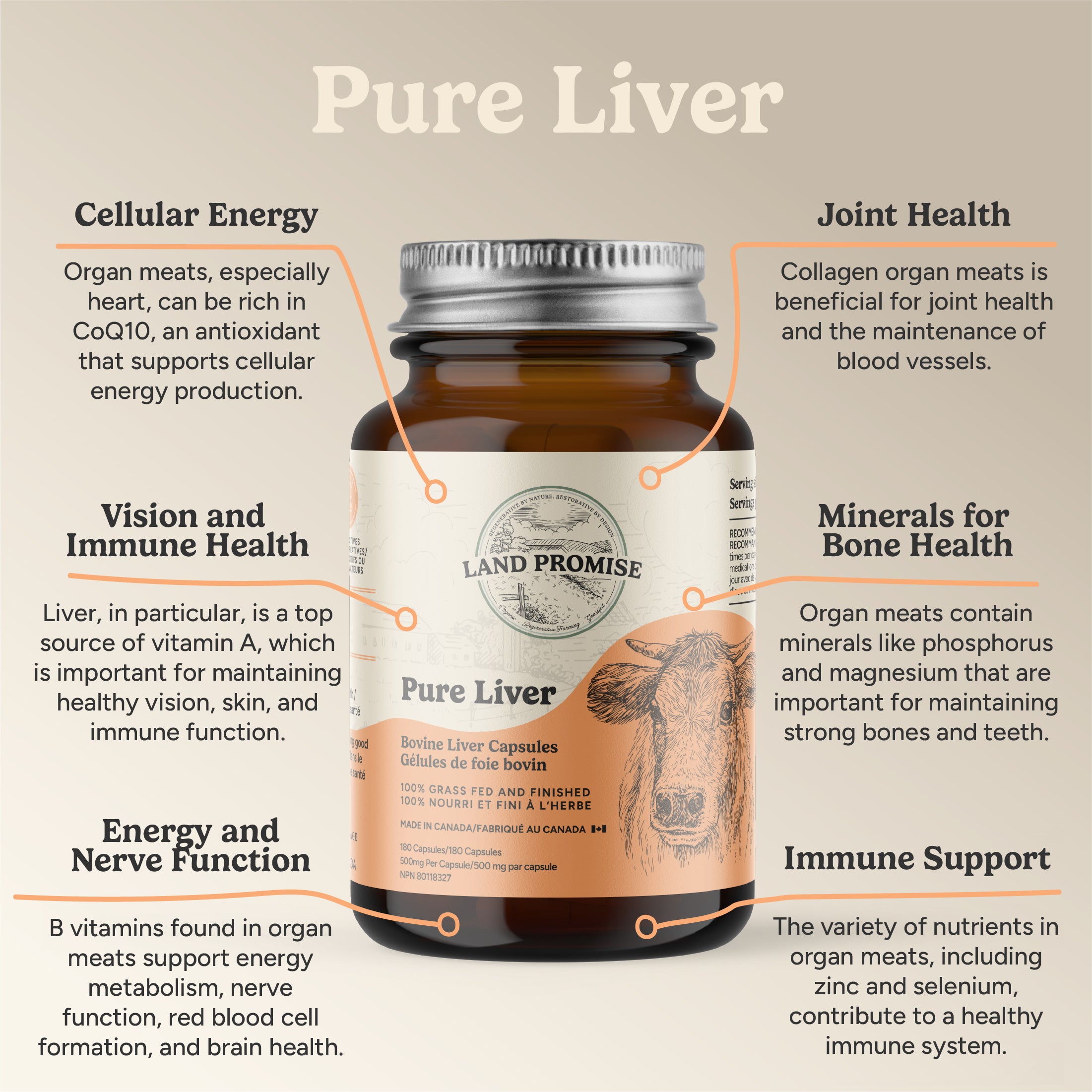 Pure Liver