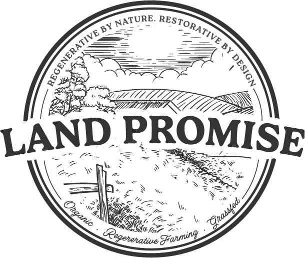 Land Promise